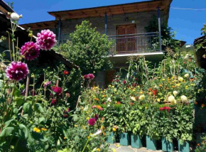  Guesthouse Gouris  Цепелово